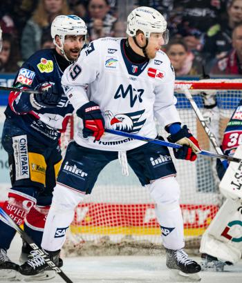 Adler Mannheim Stimmen EBB3