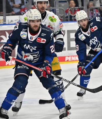Adler Mannheim Stimmen EBB