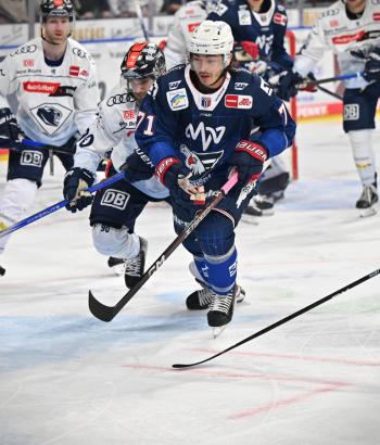 Adler Mannheim Stimmen ERC