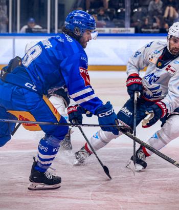 Adler Mannheim Stimmen EVZ
