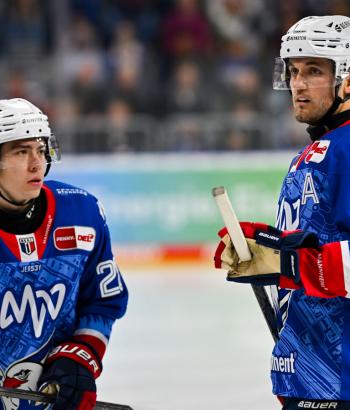 Adler Mannheim Stimmen FRA v10