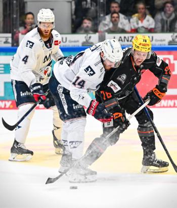 Adler Mannheim Stimmen FRA v2
