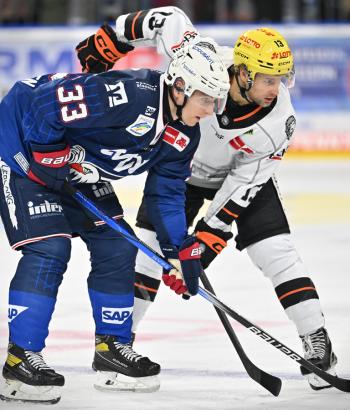 Adler Mannheim Stimmen FRA v3
