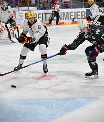 Adler Mannheim Stimmen FRA v4