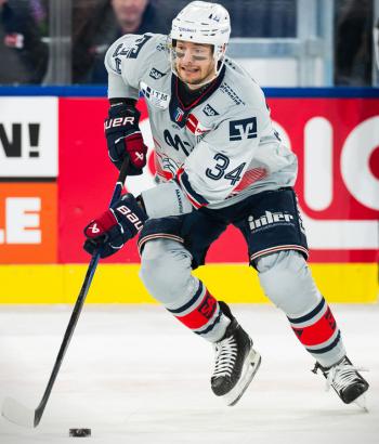 Adler Mannheim Stimmen FRA v8