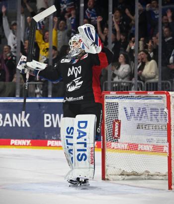 Adler Mannheim Stimmen FRA v9
