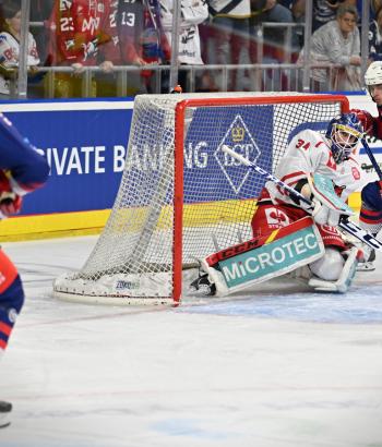 Adler Mannheim Stimmen HCB v2
