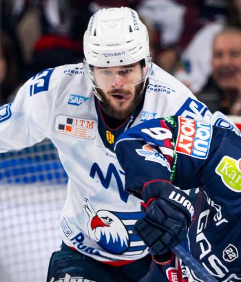 Adler Mannheim Stimmen HF1