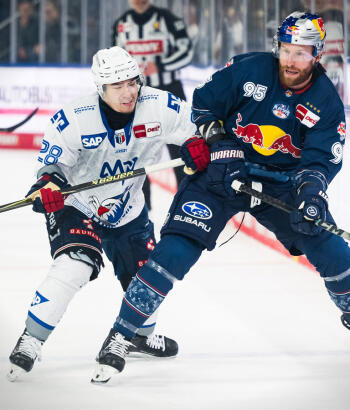 Adler Mannheim Stimmen HF2 v2