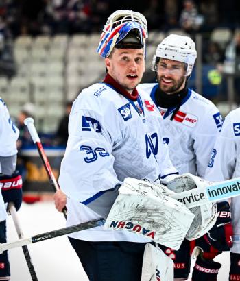 Adler Mannheim Stimmen IEC v10