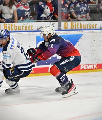 Adler Mannheim Stimmen IEC v2