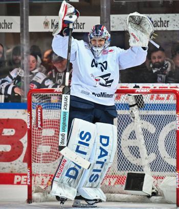 Adler Mannheim Stimmen IEC v4