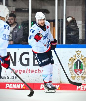 Adler Mannheim Stimmen IEC v5