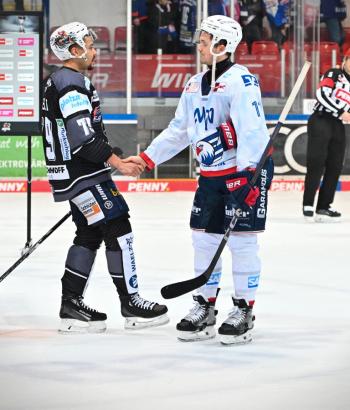 Adler Mannheim Stimmen IEC v7