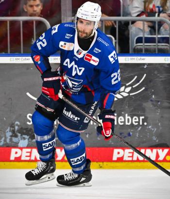 Adler Mannheim Stimmen IEC v8