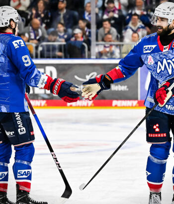 Adler Mannheim Stimmen IEC v9