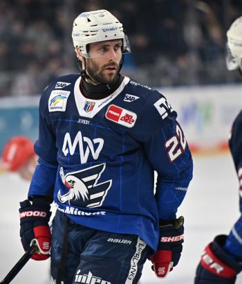 Adler Mannheim Stimmen IEC4