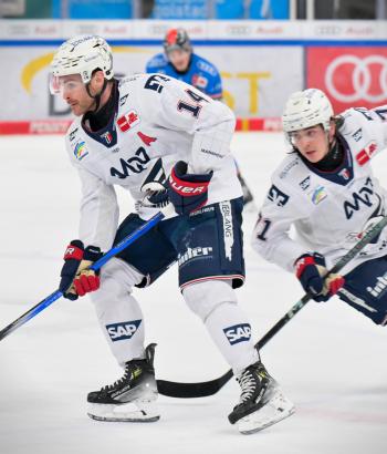 Adler Mannheim Stimmen ING v2
