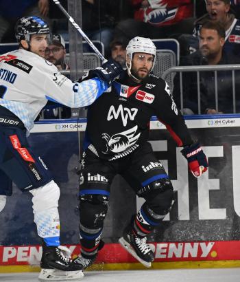 Adler Mannheim Stimmen ING v4