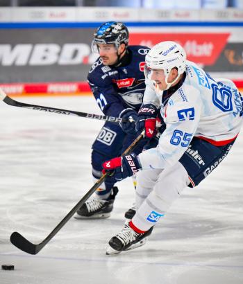 Adler Mannheim Stimmen ING v5