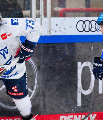 Adler Mannheim Stimmen ING v9