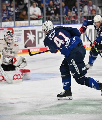 Adler Mannheim Stimmen KEC v2