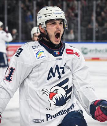 Adler Mannheim Stimmen KEC v4