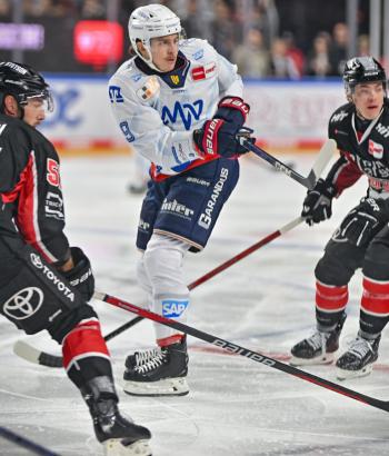 Adler Mannheim Stimmen KEC v5