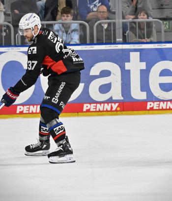 Adler Mannheim Stimmen KEC v6