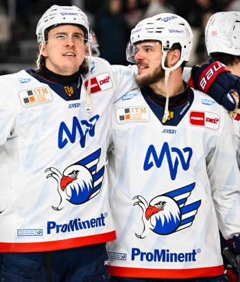 Adler Mannheim Stimmen KEC v7