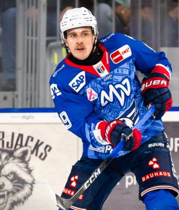 Adler Mannheim Stimmen KEC v8