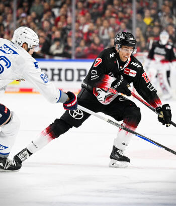 Adler Mannheim Stimmen KEC v9