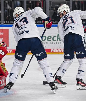 Adler Mannheim Stimmen KEC