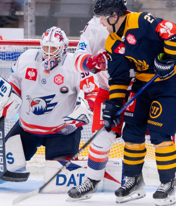 Adler Mannheim Stimmen LUK