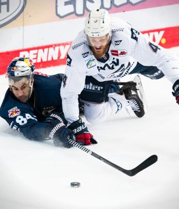 Adler Mannheim Stimmen MUC