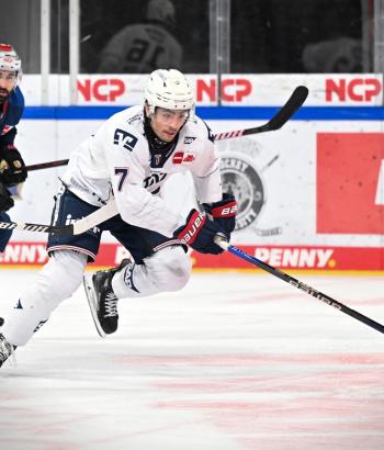 Adler Mannheim Stimmen NIT v3