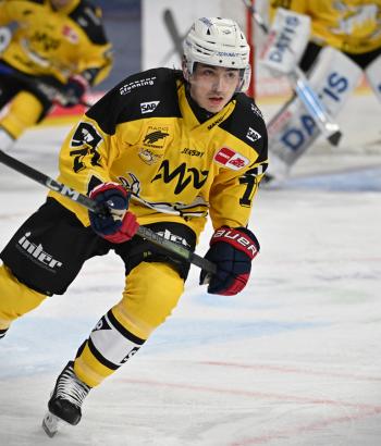 Adler Mannheim Stimmen NIT v4