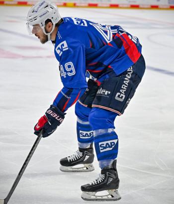 Adler Mannheim Stimmen NIT v6