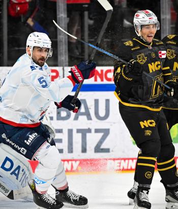 Adler Mannheim Stimmen NIT v7