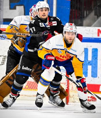 Adler Mannheim Stimmen NIT v8