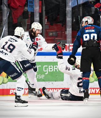 Adler Mannheim Stimmen NITPO2