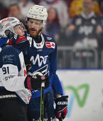 Adler Mannheim Stimmen NIT PO