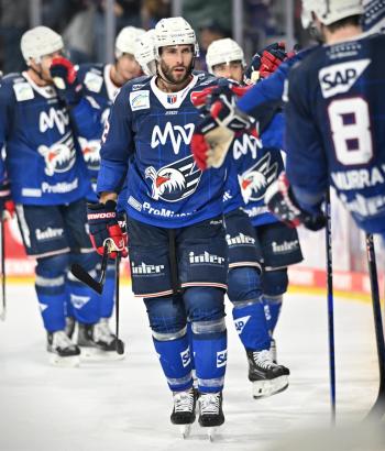 Adler Mannheim Stimmen NIT