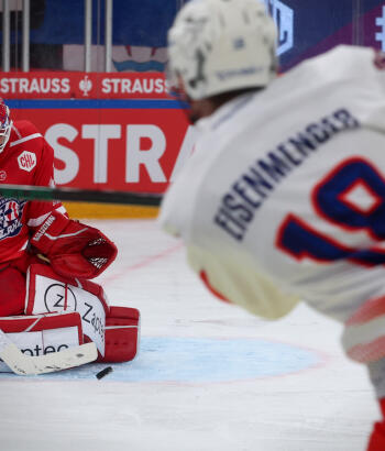 Adler Mannheim Stimmen RAP