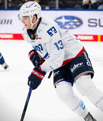 Adler Mannheim Stimmen RBM v6