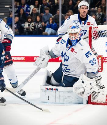 Adler Mannheim Stimmen RBMvsMAN