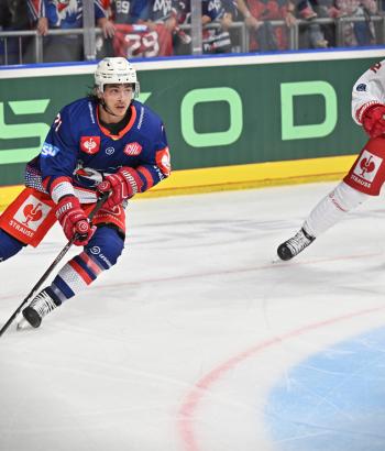 Adler Mannheim Stimmen RBS v2