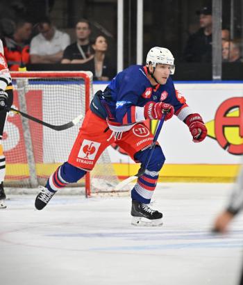Adler Mannheim Stimmen ROU