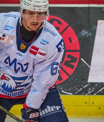 Adler Mannheim Stimmen SCB v3