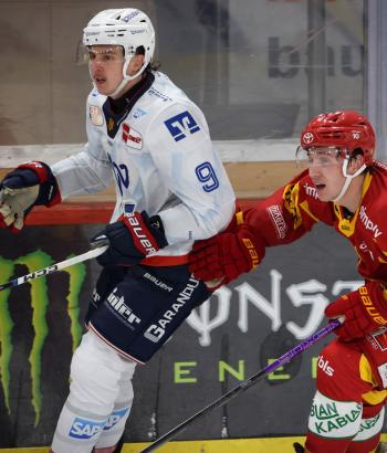 Adler Mannheim Stimmen SCL